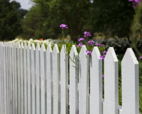 A picture of a white picket garden fence with purple flowers growing around it
