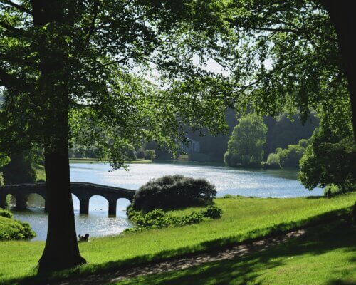 Picture of National Trust land with a tree in the foreground and a lake with a stone bridge in the background on a sunny day.