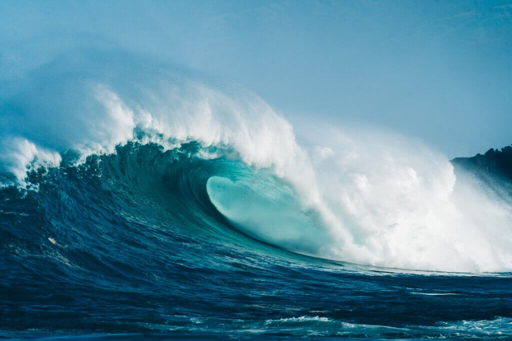 Taylor Walton Solicitors branding wave