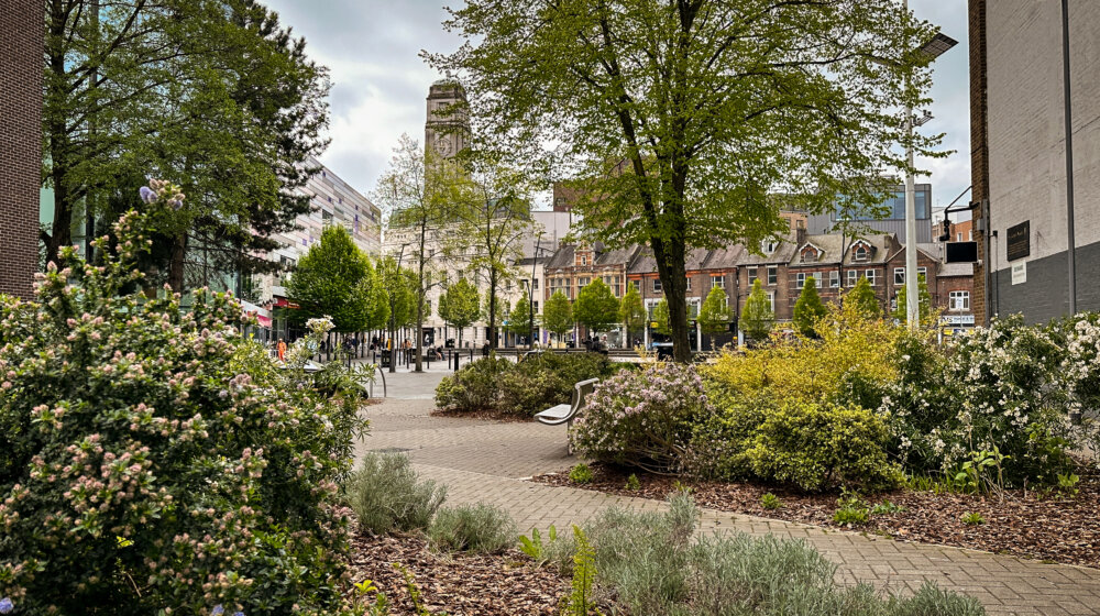 Greenery in St George's Square Luton
