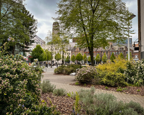 Greenery in St George's Square Luton