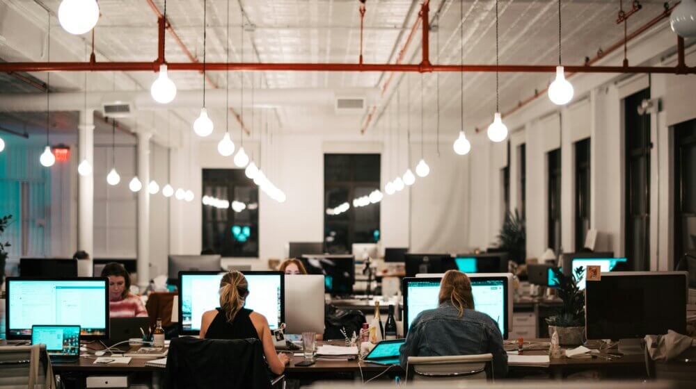 people working at computers at desks