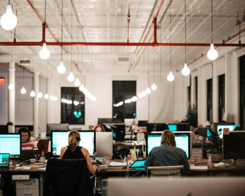 people working at computers at desks